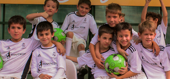 tecnicos